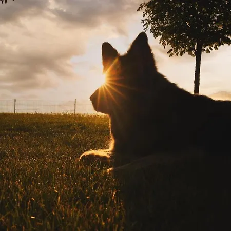 Tatil Evi Forsthaus Stolpe