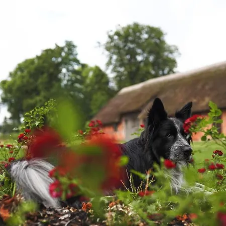 Forsthaus Stolpe Tatil Evi Stolpe (Ludwigslust-Parchim)